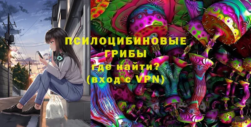 Псилоцибиновые грибы Psilocybe  Ишимбай 